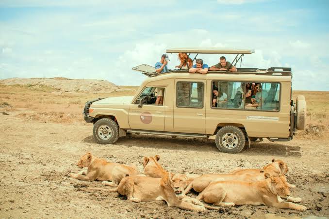 Last Minute Sharing Safari from Arusha